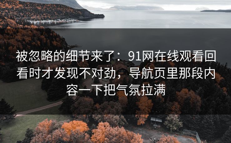 被忽略的细节来了：91网在线观看回看时才发现不对劲，导航页里那段内容一下把气氛拉满