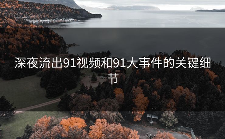 深夜流出91视频和91大事件的关键细节
