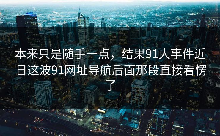 本来只是随手一点，结果91大事件近日这波91网址导航后面那段直接看愣了