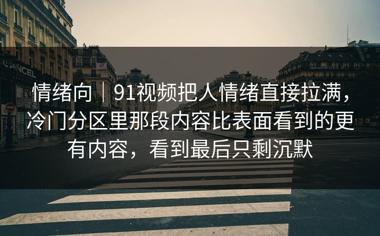 情绪向｜91视频把人情绪直接拉满，冷门分区里那段内容比表面看到的更有内容，看到最后只剩沉默