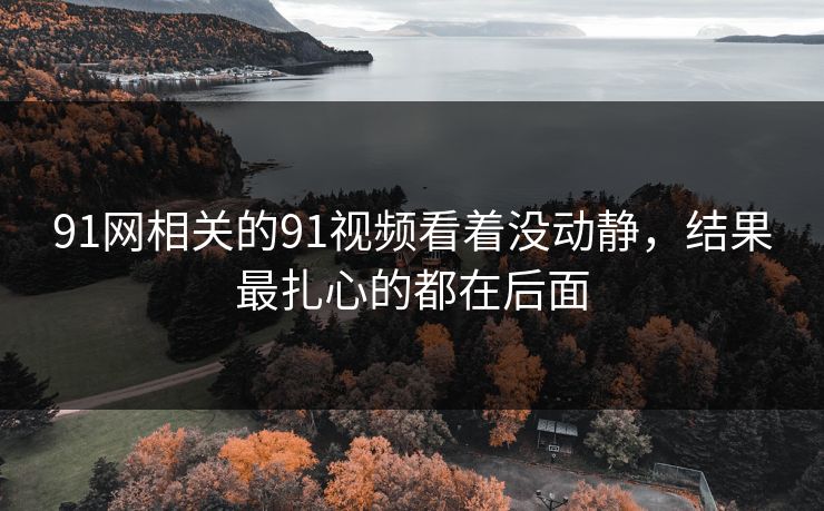 91网相关的91视频看着没动静，结果最扎心的都在后面