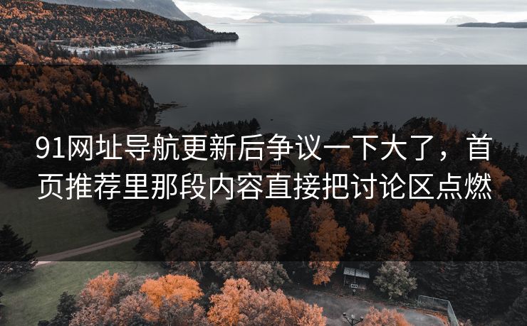 91网址导航更新后争议一下大了，首页推荐里那段内容直接把讨论区点燃