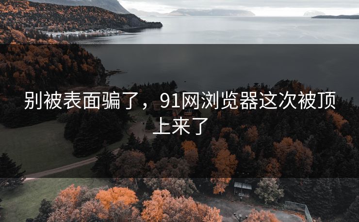 别被表面骗了，91网浏览器这次被顶上来了