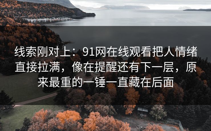线索刚对上：91网在线观看把人情绪直接拉满，像在提醒还有下一层，原来最重的一锤一直藏在后面