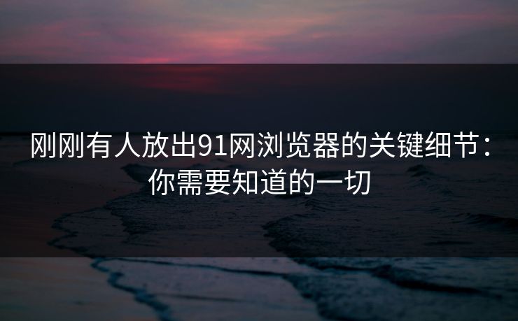 刚刚有人放出91网浏览器的关键细节：你需要知道的一切