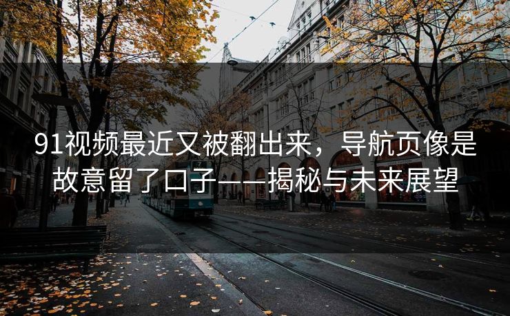 91视频最近又被翻出来，导航页像是故意留了口子——揭秘与未来展望
