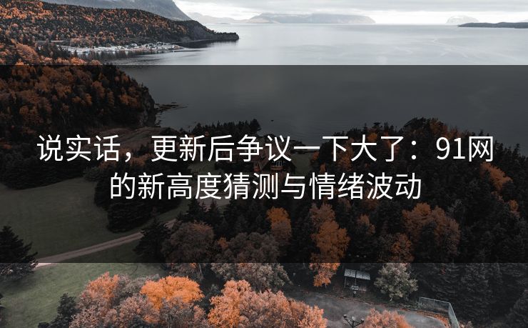 说实话，更新后争议一下大了：91网的新高度猜测与情绪波动