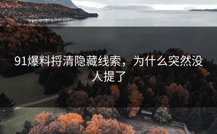 91爆料捋清隐藏线索，为什么突然没人提了